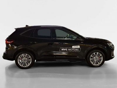 Ford Kuga Vorführwagen