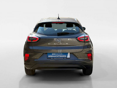 Ford Puma Gebrauchtwagen Ford Puma Gebrauchtwagen