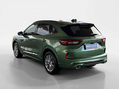 Ford Kuga Vorführwagen