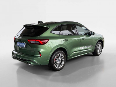 Ford Kuga Vorführwagen