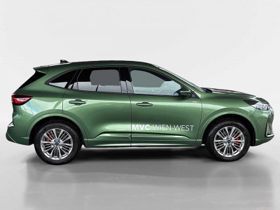 Ford Kuga Vorführwagen
