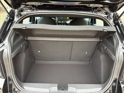 Fiat Grande Panda Gebrauchtwagen