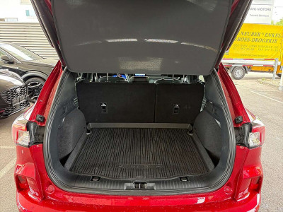 Ford Kuga Gebrauchtwagen Ford Kuga Gebrauchtwagen