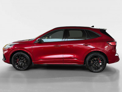 Ford Kuga Gebrauchtwagen Ford Kuga Gebrauchtwagen