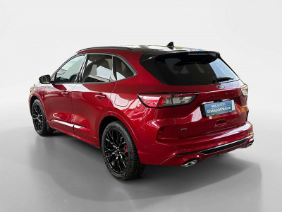 Ford Kuga Gebrauchtwagen Ford Kuga Gebrauchtwagen