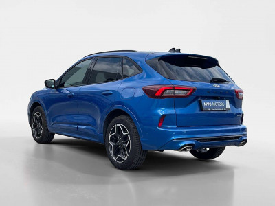 Ford Kuga Gebrauchtwagen Ford Kuga Gebrauchtwagen