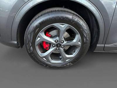 Ford Kuga Vorführwagen