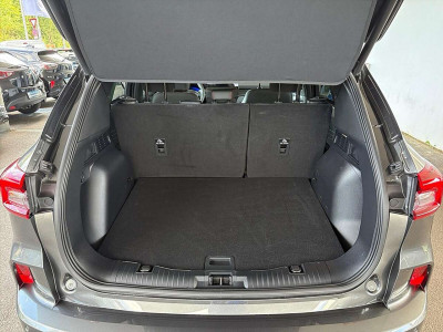 Ford Kuga Vorführwagen