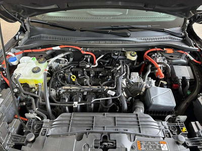 Ford Kuga Vorführwagen