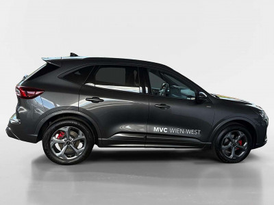 Ford Kuga Vorführwagen