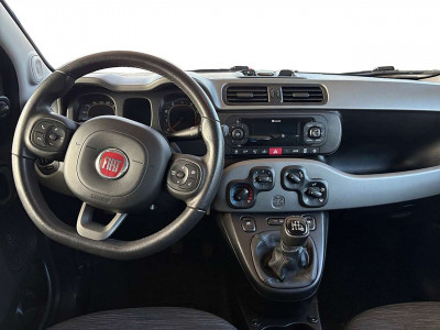 Fiat Panda Gebrauchtwagen Fiat Panda Gebrauchtwagen