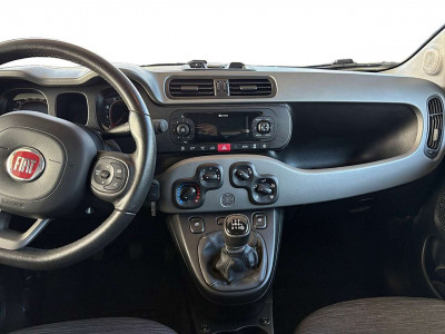 Fiat Panda Gebrauchtwagen Fiat Panda Gebrauchtwagen