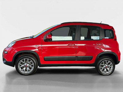 Fiat Panda Gebrauchtwagen Fiat Panda Gebrauchtwagen
