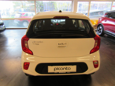 KIA Picanto Gebrauchtwagen