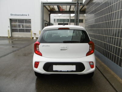 KIA Picanto Gebrauchtwagen