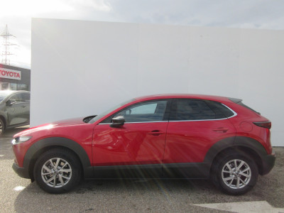 Mazda CX-30 Gebrauchtwagen