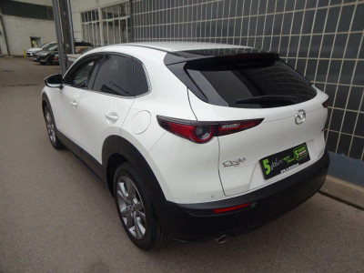 Mazda CX-30 Gebrauchtwagen