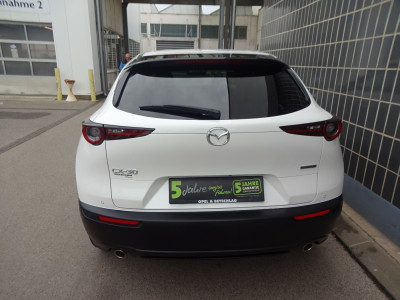 Mazda CX-30 Gebrauchtwagen