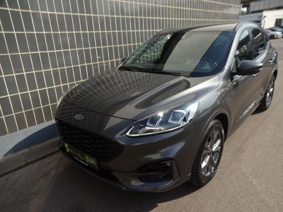 Ford Kuga Gebrauchtwagen