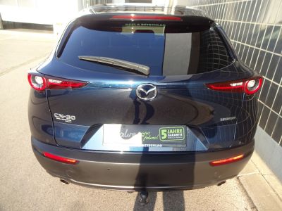 Mazda CX-30 Gebrauchtwagen