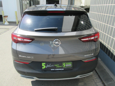 Opel Grandland X Gebrauchtwagen