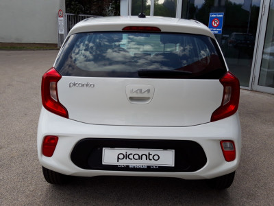 KIA Picanto Neuwagen