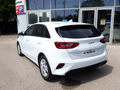 KIA Ceed Neuwagen