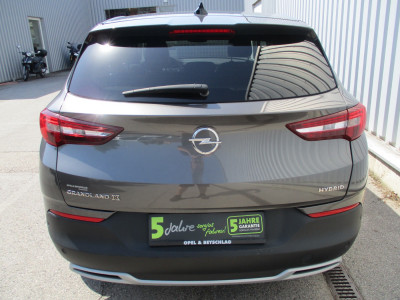 Opel Grandland X Gebrauchtwagen