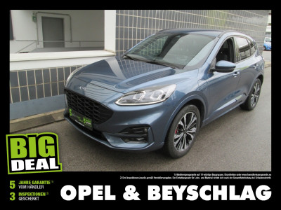 Ford Kuga Gebrauchtwagen