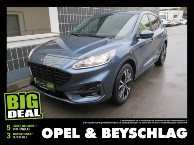 Ford Kuga Gebrauchtwagen