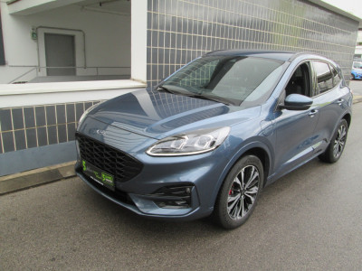 Ford Kuga Gebrauchtwagen