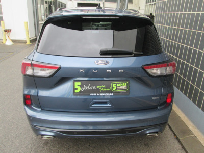 Ford Kuga Gebrauchtwagen