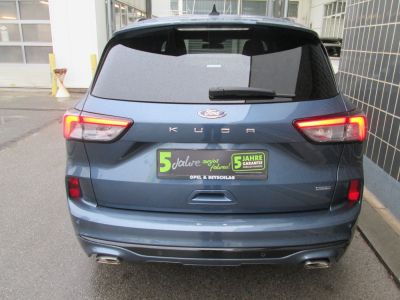 Ford Kuga Gebrauchtwagen