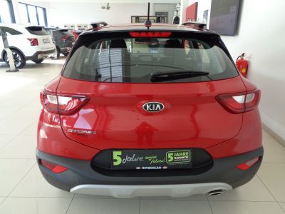 KIA Stonic Gebrauchtwagen