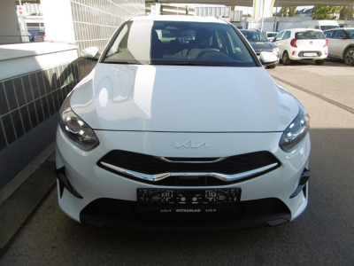 KIA Ceed Neuwagen