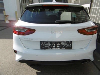 KIA Ceed Neuwagen