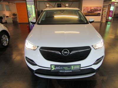 Opel Grandland X Gebrauchtwagen