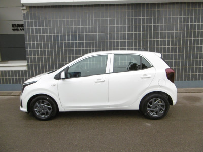 KIA Picanto Neuwagen