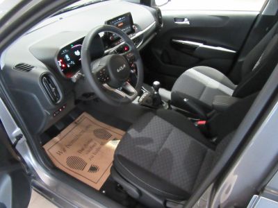 KIA Picanto Neuwagen