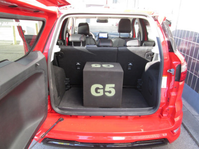 Ford EcoSport Gebrauchtwagen