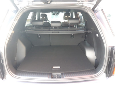 SsangYong Torres Vorführwagen