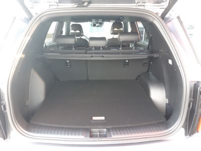 SsangYong Torres Vorführwagen