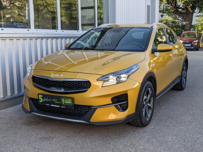 KIA XCeed Gebrauchtwagen