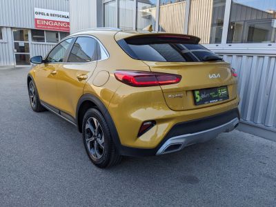 KIA XCeed Gebrauchtwagen KIA XCeed Gebrauchtwagen