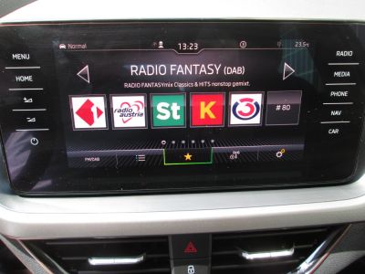 Skoda Kamiq Gebrauchtwagen