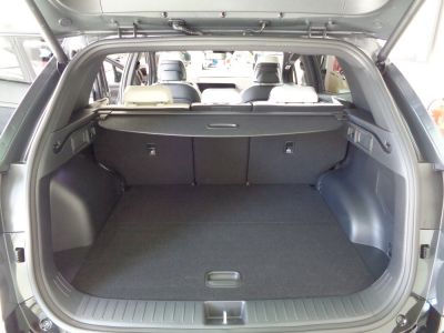 KIA Sportage Vorführwagen