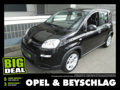 Fiat Panda Gebrauchtwagen