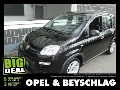 Fiat Panda Gebrauchtwagen