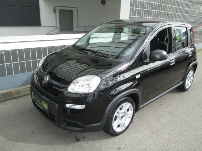 Fiat Panda Gebrauchtwagen