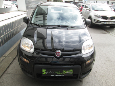 Fiat Panda Gebrauchtwagen